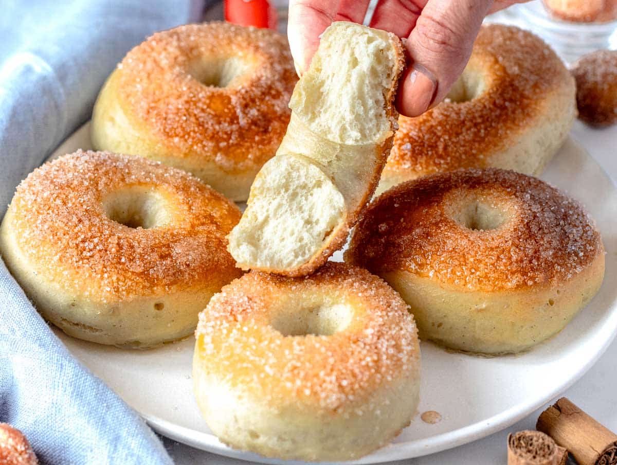 vegan donuts with hand holding half a donut