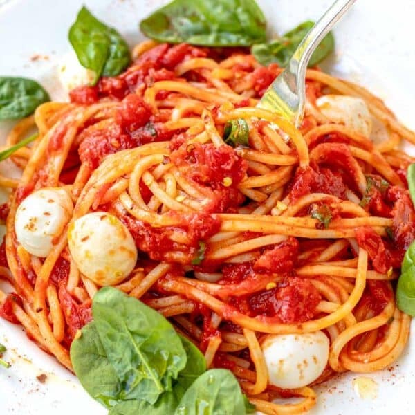 spaghetti pomodoro with a fork