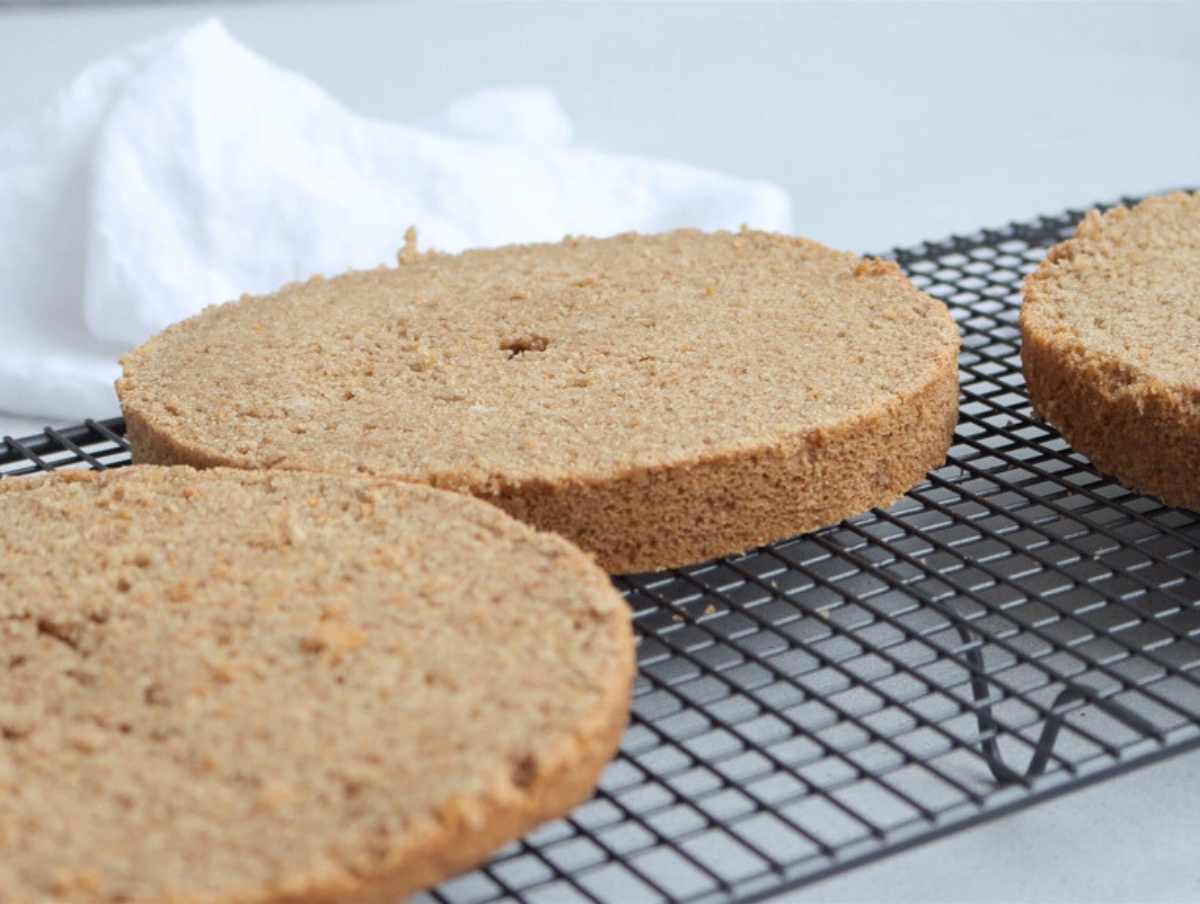 vegan coconut cake layers 