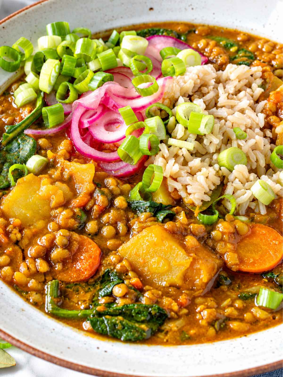 Close-up curry lentil soup with green lentils, vegetables, kale, and brown rice.