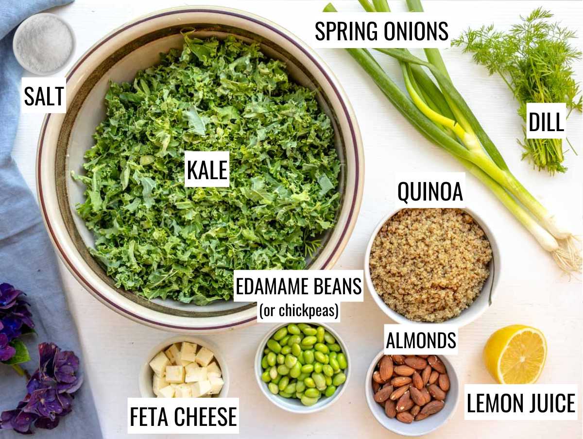 Ingredients for kale quinoa salad