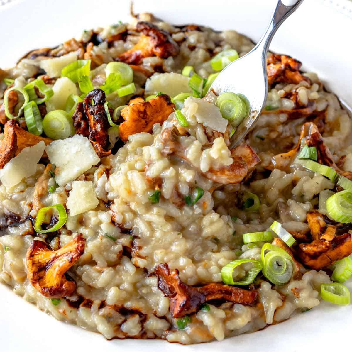Mushroom risotto with a fork on a plate