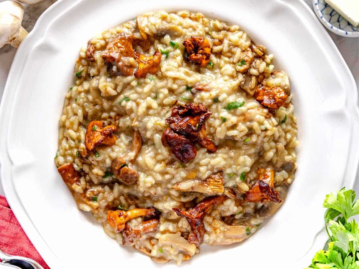 mushroom risotto on a plate without toppings