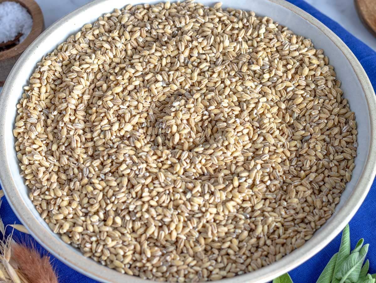 raw pearled barley on a plate