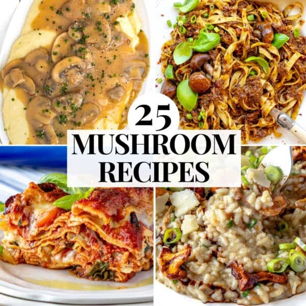 Mushroom recipes with dinner and lunch ideas