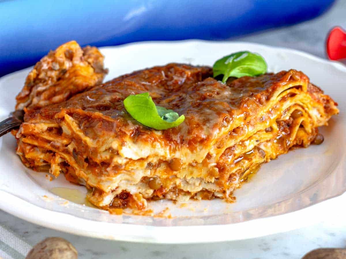 vegetarian lasagna with bechamél and lentil ragu