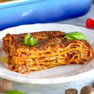 Vegetarian lasagna on a white plate