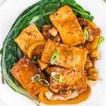 braised tofu with bok choy on a plate.