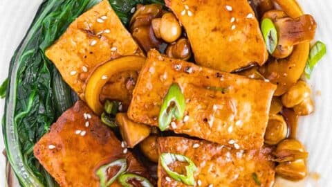 braised-tofu-with-bok-choy-