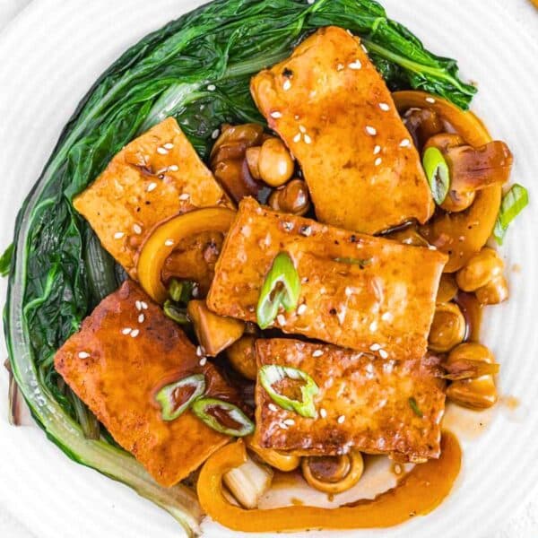 braised tofu with bok choy on a plate.