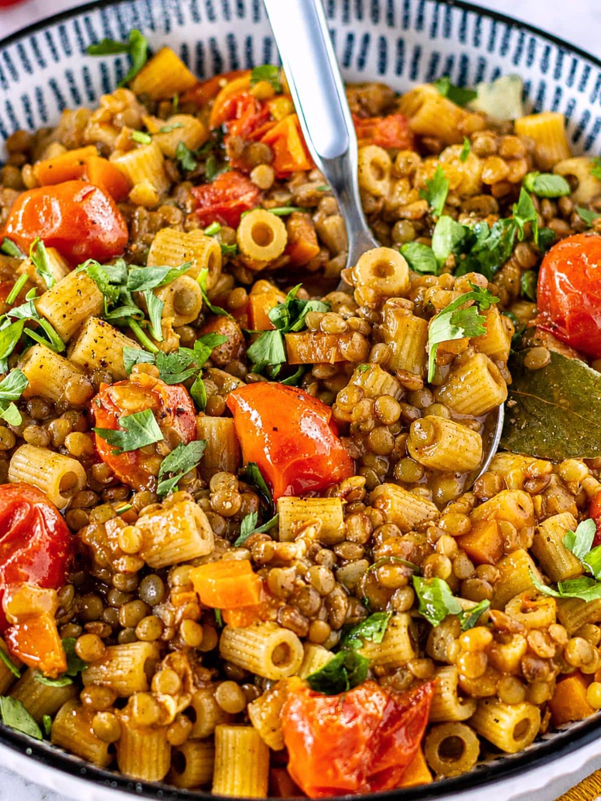 Close-up of lentil pasta showing glossy lentils and tender ditalini pasta.
