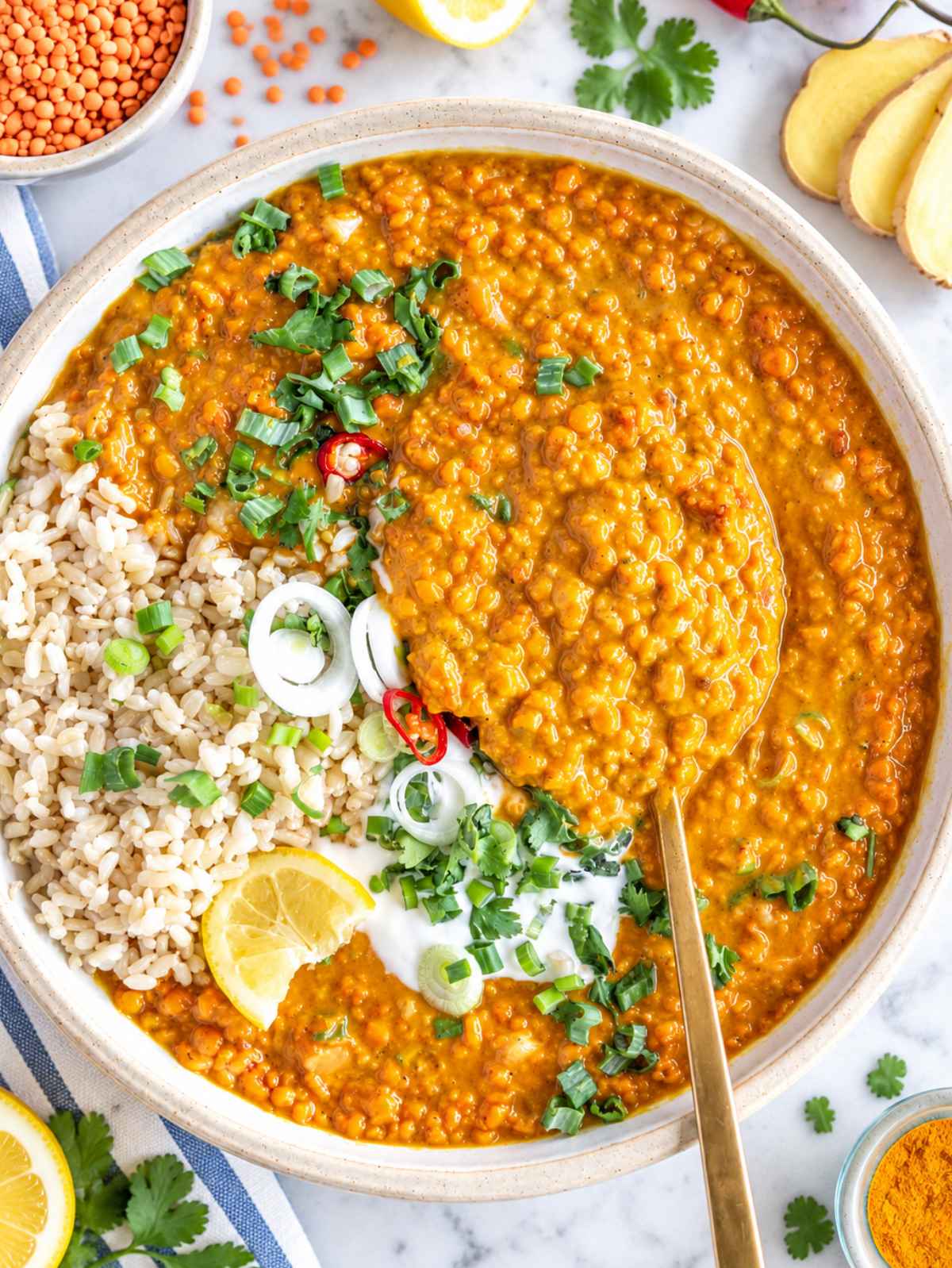Creamy lentil curry topped with cilantro and yogurt, served and rice in natural light