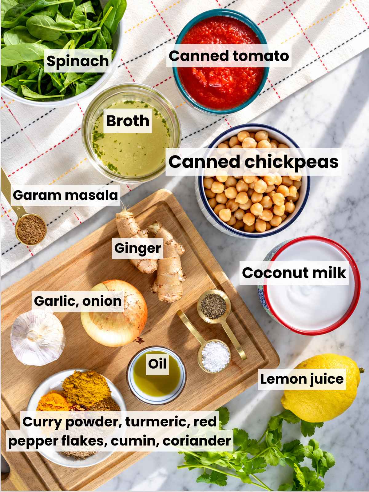 Chickpeas, coconut milk, tomatoes, spinach, aromatics, and spices arranged on marble.