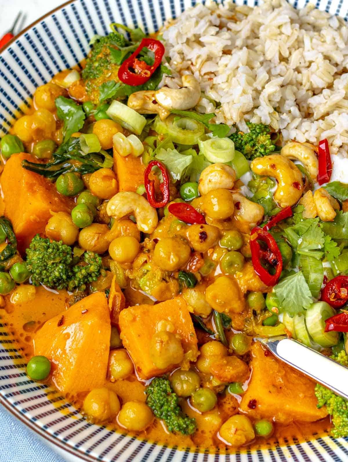 Vegetable curry with rice.