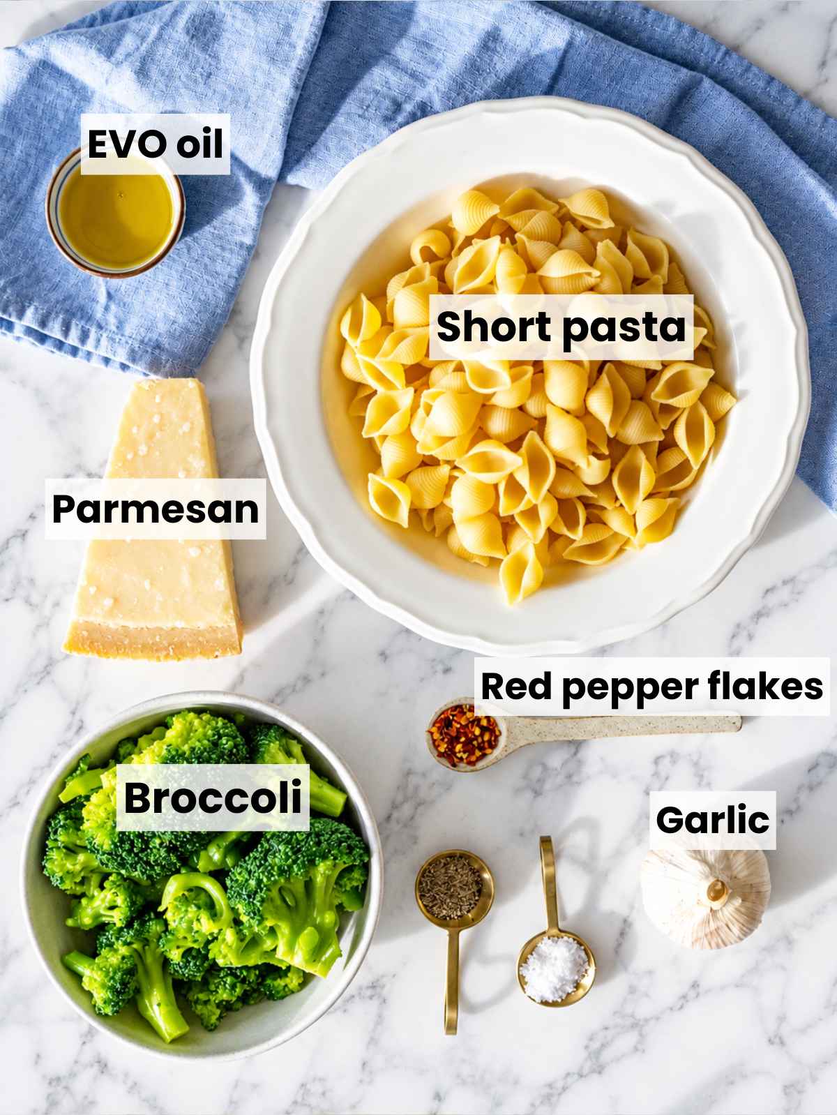 Broccoli pasta ingredients with broccoli, pasta, garlic, Parmesan, olive oil, and chili.