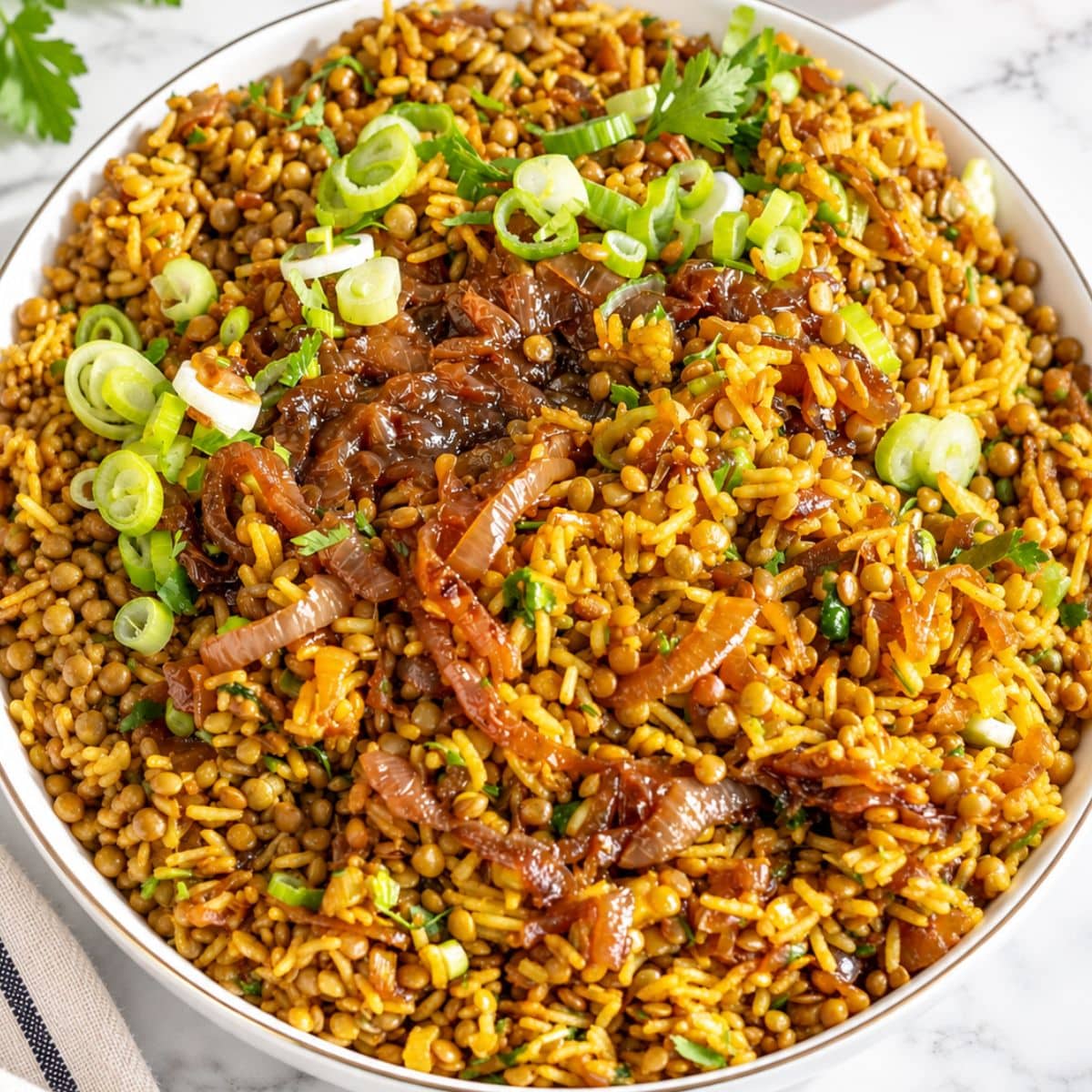 Mujadara (Lentils and Rice)-image