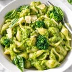 Vibrant broccoli pasta with glossy green sauce and Parmesan in natural light.