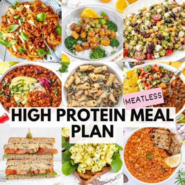 High protein vegetarian meal plan.
