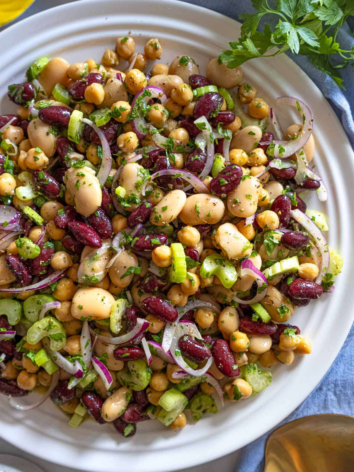 Overhead view of 3 bean salad recipe on white platter with colorful beans and herbs.