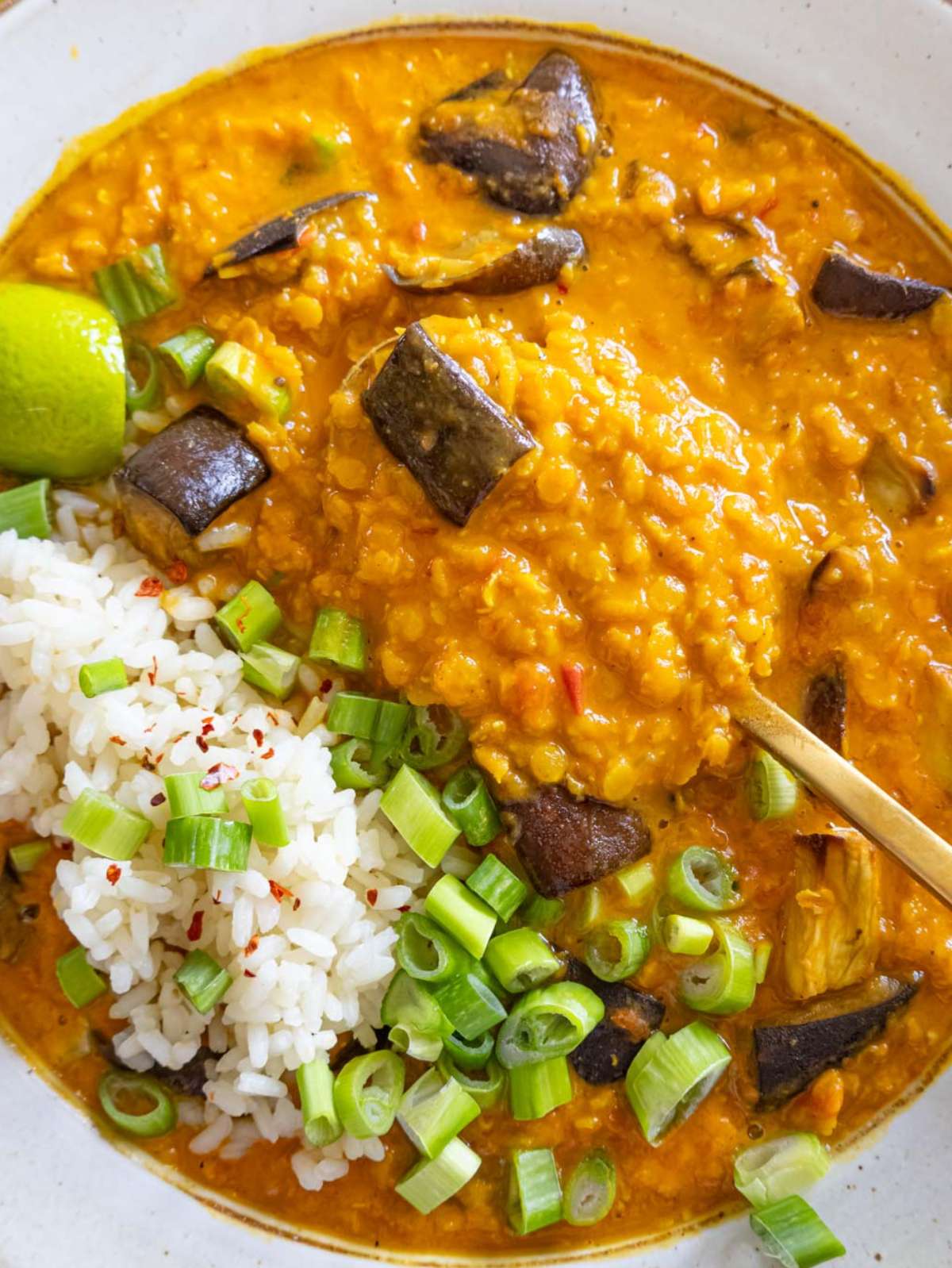Close up creamy lentil and eggplant curry in a bowl with rice and garnish.