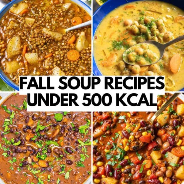 Easy fall soup recipes low in calories.