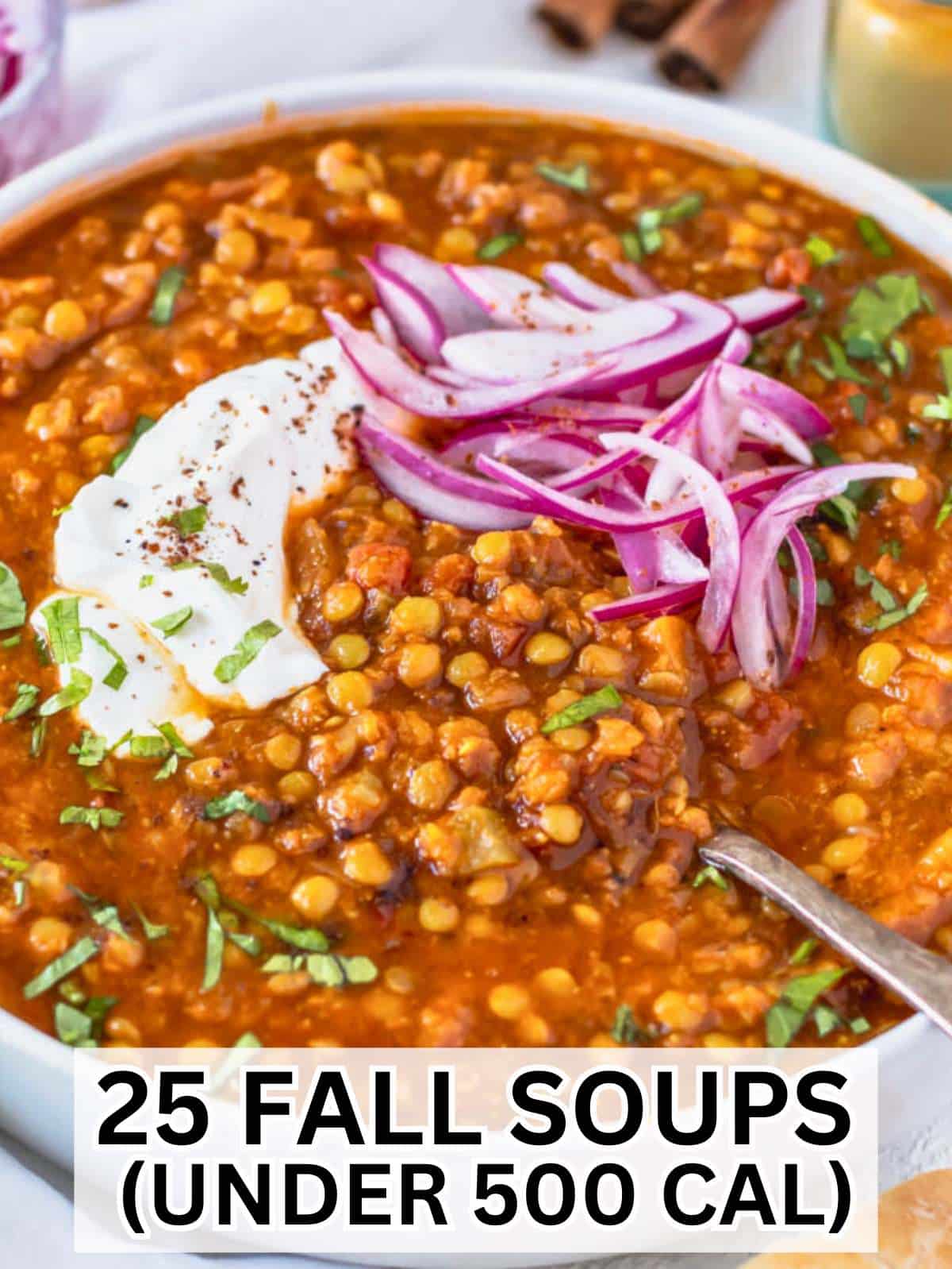 Fall soup recipes under 500 calories with Spiced lentil soup.