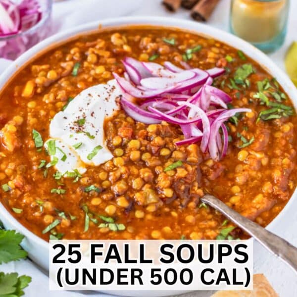 Fall soups with a moroccan lentil soup and a silver spoon.