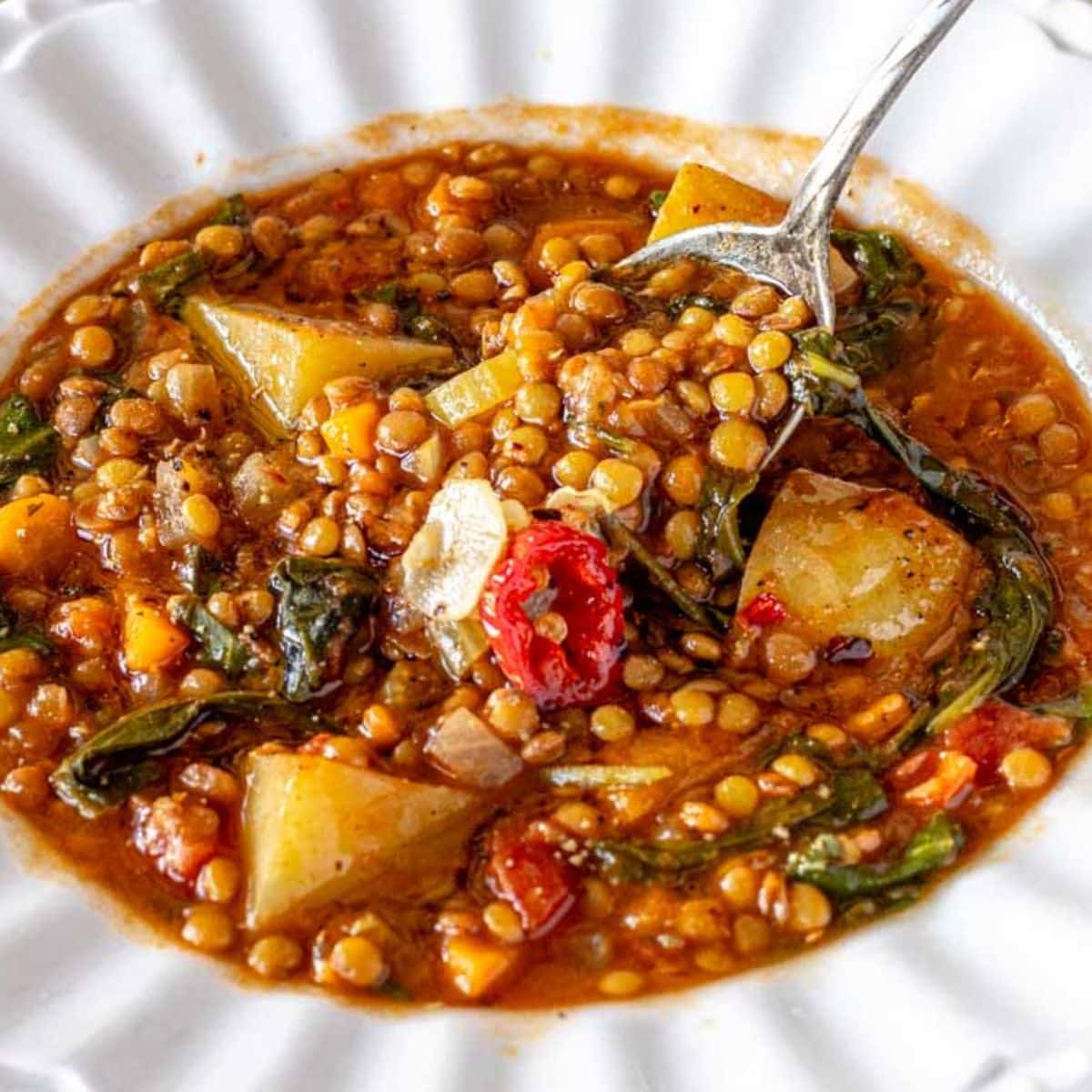 Mediterranean Lentil Soup-image