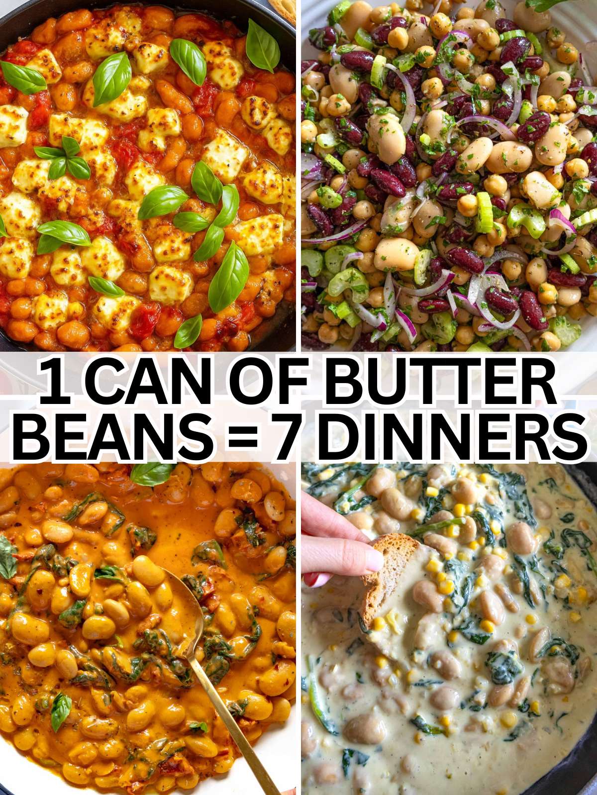 Best butter bean recipes with a can of beans.