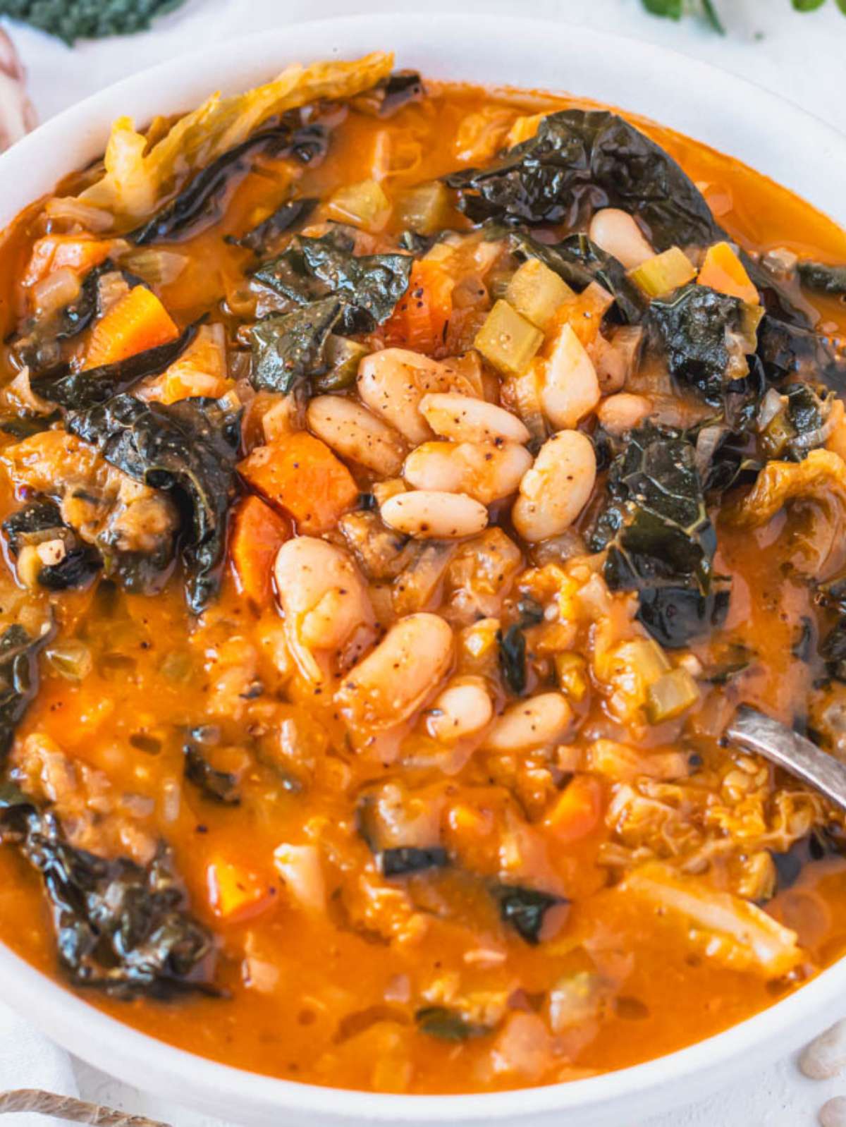 Close up of Mediterranean cabbage bean stew with white beans and vegetables in a bowl.