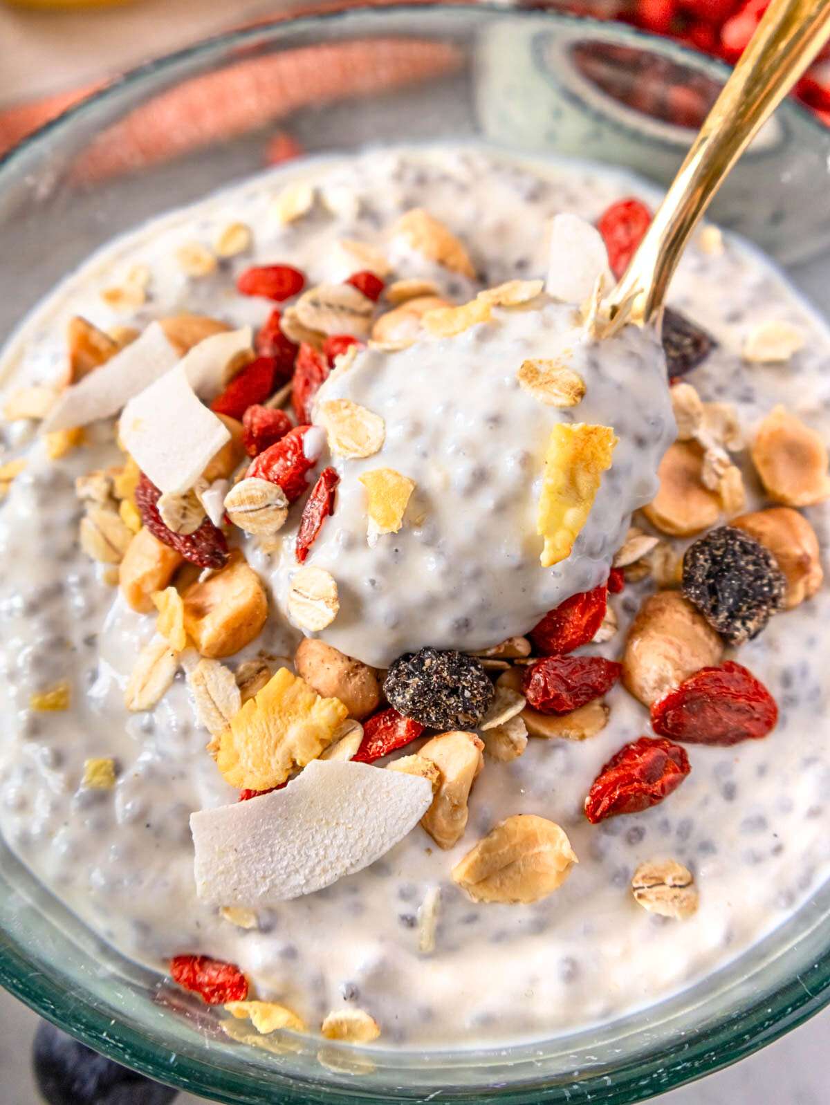 Close up of creamy Greek yogurt chia pudding in a bowl topped with dried berries and nuts.