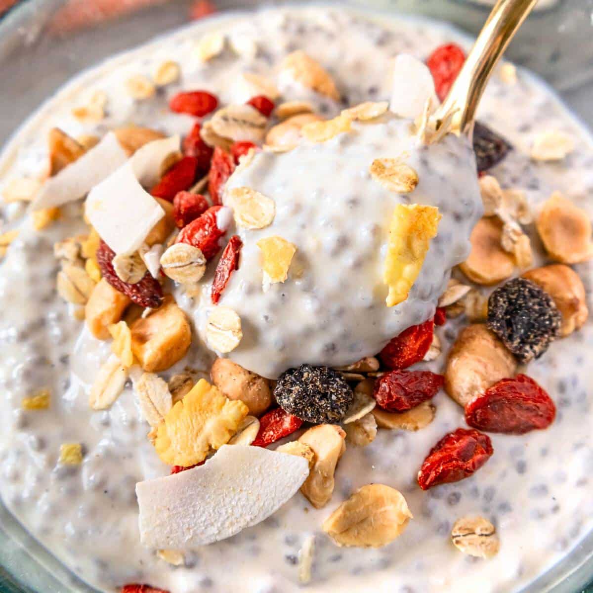 Healthy overnight Greek yogurt chia pudding served with granola and dried fruit for breakfast inspiration.