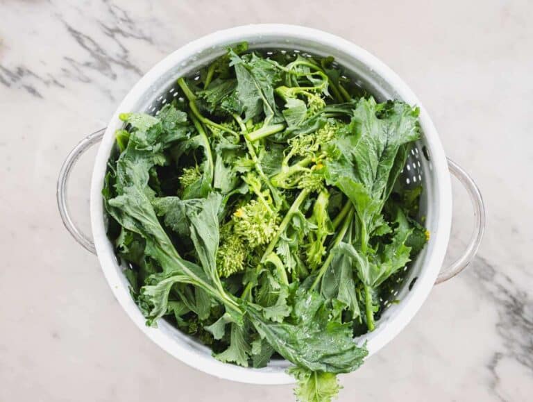 Step 1 Chopped broccoli rabe washed and ready to cook in a bowl.
