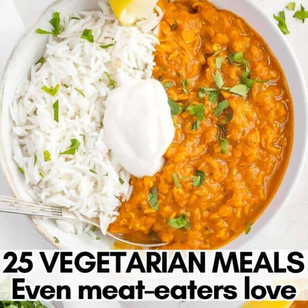 Vegetarian meal ideas for families and meat-eaters with a top down photo of lentil curry.
