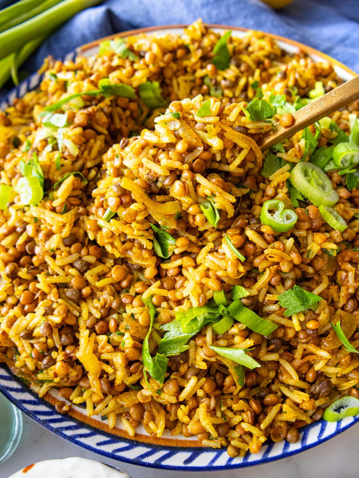 Close-up finished dish – Mediterranean lentils and rice with caramelized onions and parsley garnish.