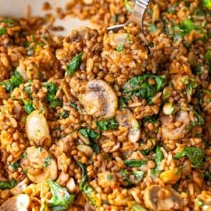 Feature image hearty Mediterranean mushroom and rice stir fry in rustic skillet.