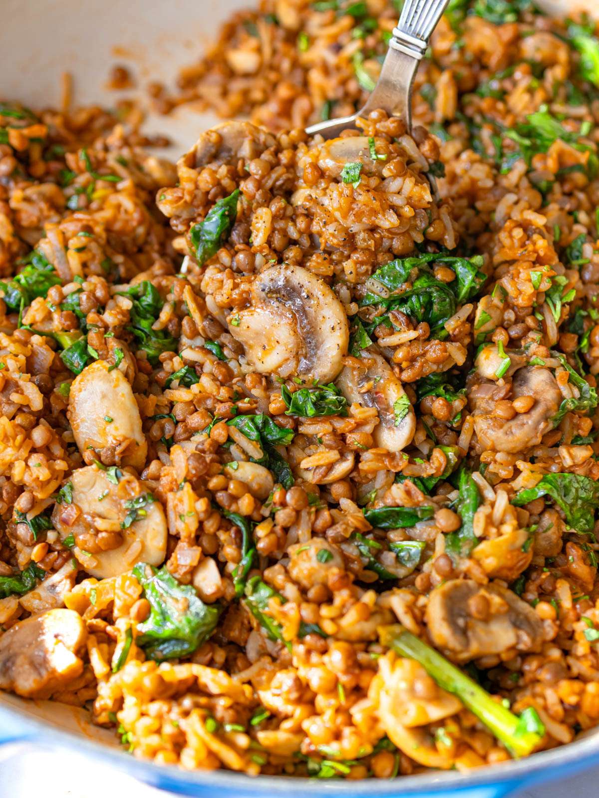 Finished dish close up Mediterranean mushroom and rice stir fry in skillet.