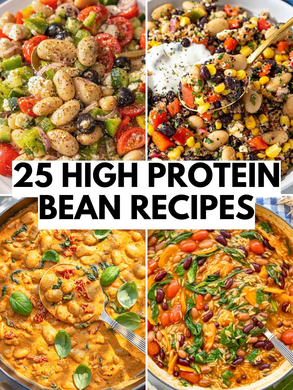 High protein bean recipes with one pots, bowls and salad recipes.