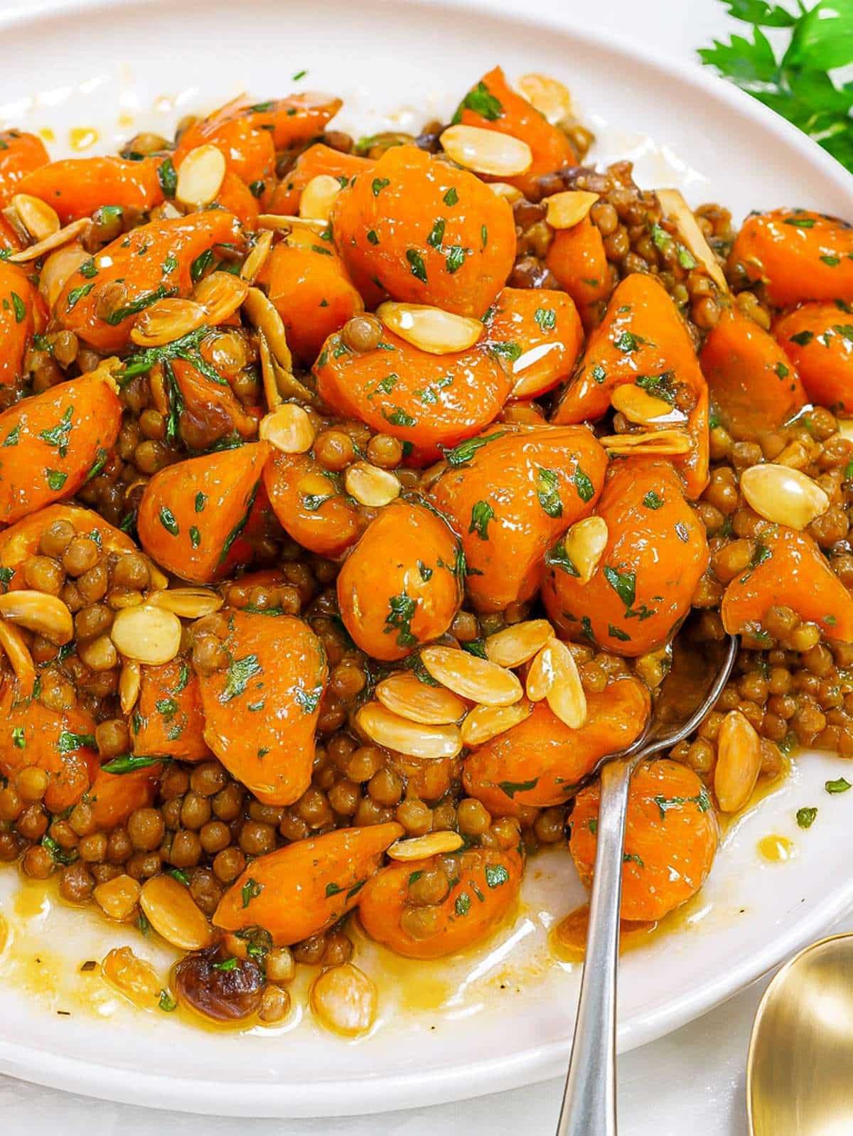 Mediterranean carrot salad close-up with roasted carrots lentils and lemon dressing.