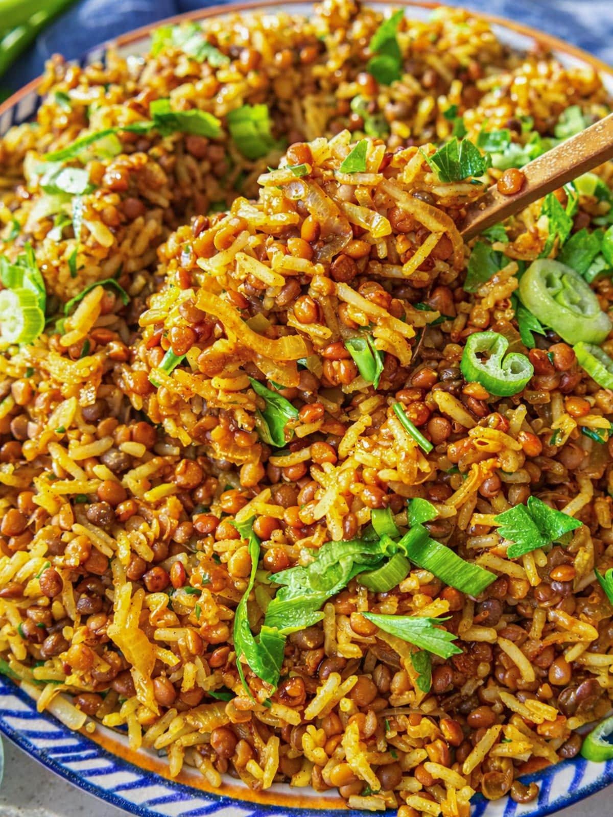 A lifted spoon with Mediterranean lentils and rice as a healthy dinner idea.