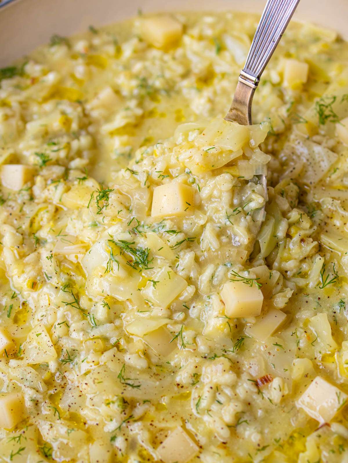 Close up of creamy Greek cabbage rice with melted Swiss cheese and fresh dill.