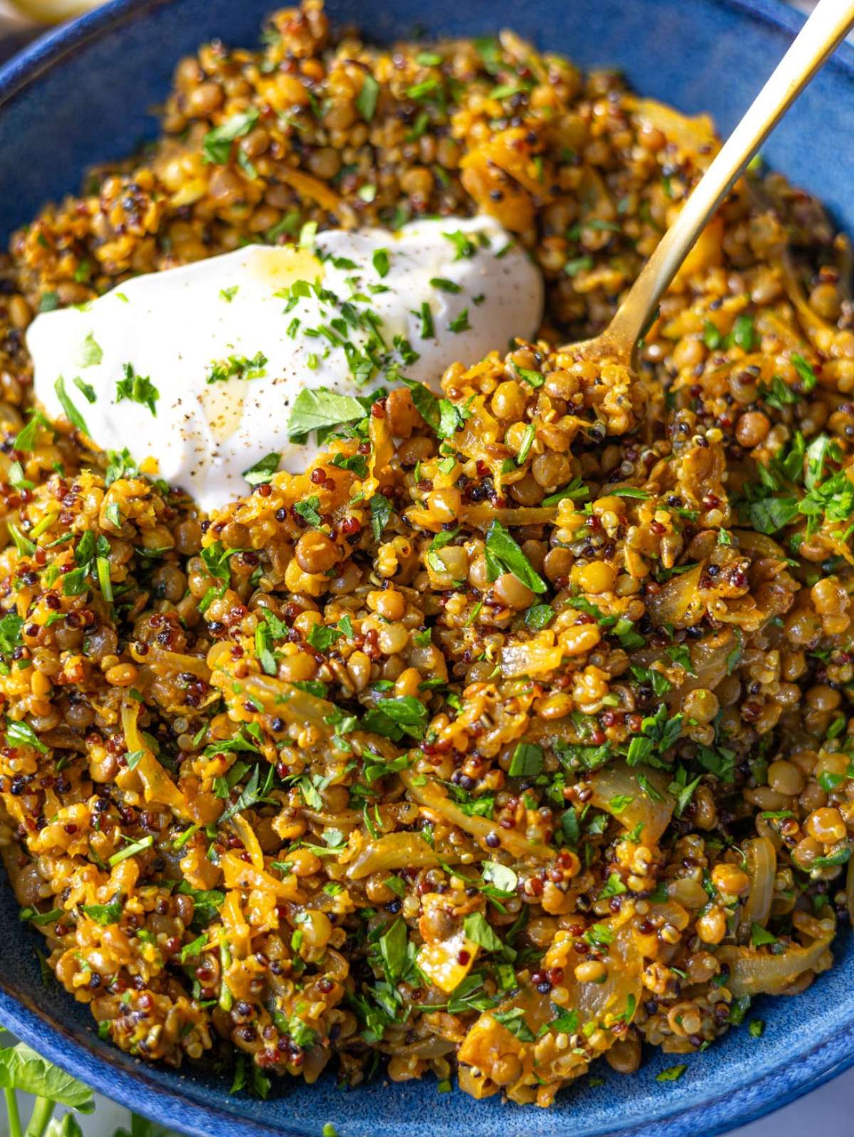 Close up of lentils and quinoa skillet cooked in glossy sauce caramelized onions.