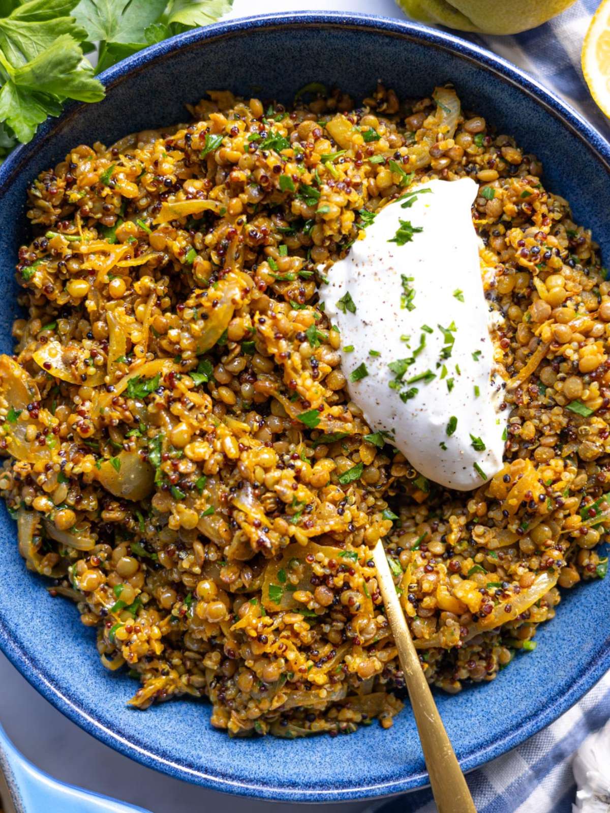 Finished lentils and quinoa skillet served warm in a bowl with caramelized onions parsley and Greek yogurt.