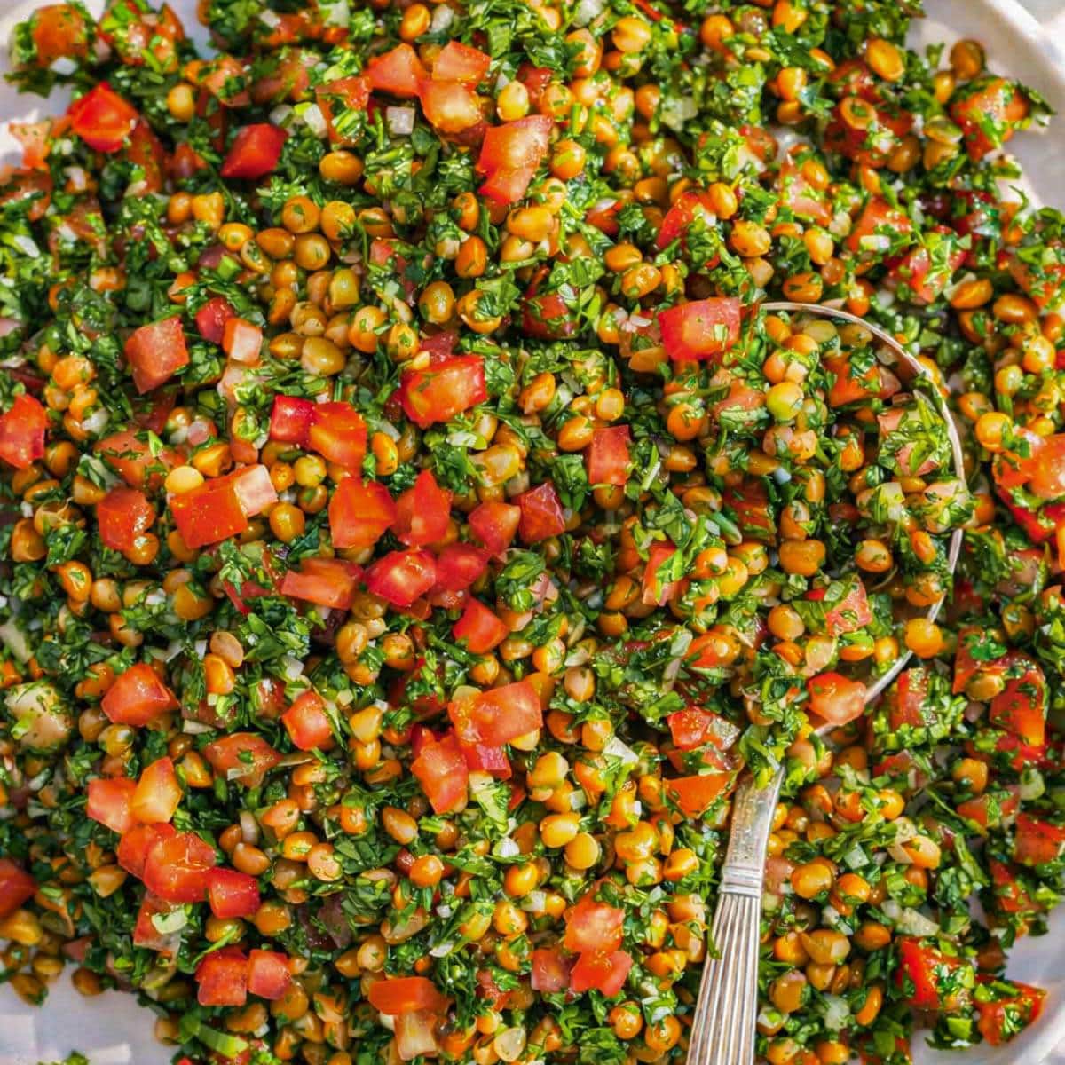 Mediterranean chopped lentil salad healthy colorful and perfect for everyday Mediterranean style eating.