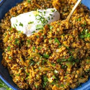 Mediterranean lentils and quinoa skillet in a bowl ready to enjoy for easy dinner.