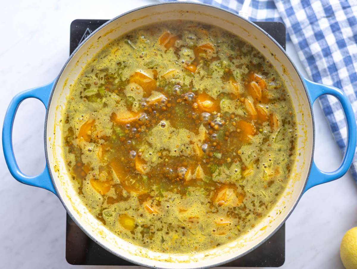 Step 2 Adding canned lentils and broth to pot for easy lentil soup.