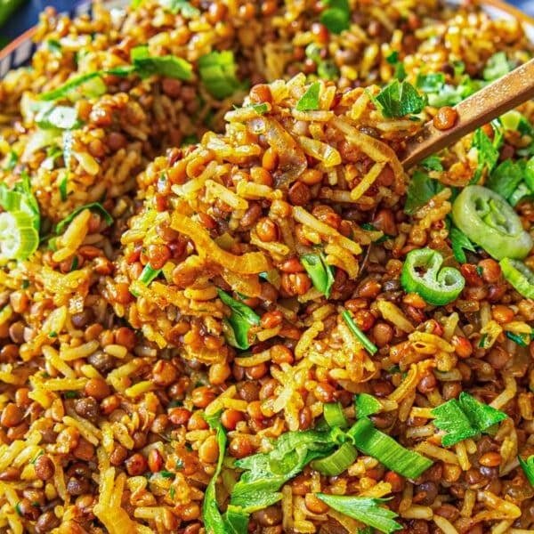 Mediterranean lentils and rice with spring onions is a wholesome dinner idea