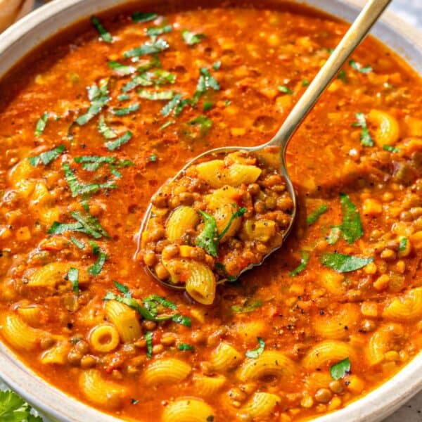 Rustic bowl filled with lentil noodle soup and fresh parsley on top.