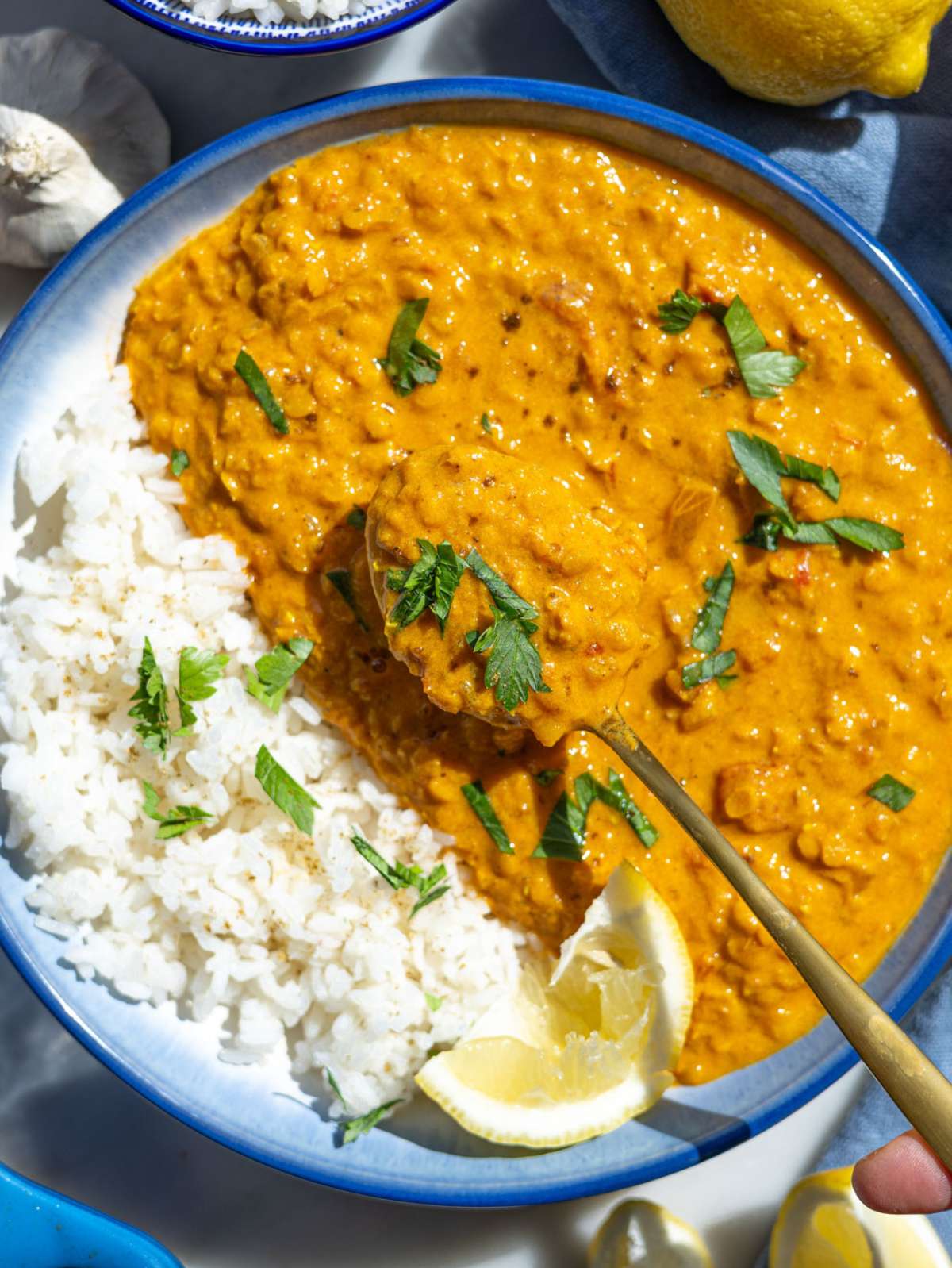 A deep bowl of creamy Greek yogurt lentil curry garnished with fresh green cilantro.