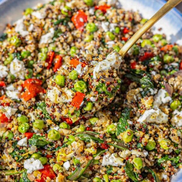 Bowl of savory quinoa breakfast bowl near window with soft natural light and fresh toppings.